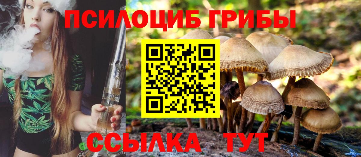 Галлюциногенные грибы прущие грибы  Вход с VPN  Коркино 